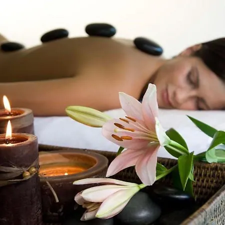 酒店 派克酒店 4*